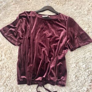 LOFT Velvet Drawstring Hem Top